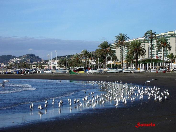Apartamento Solymar Málaga Exteriör bild